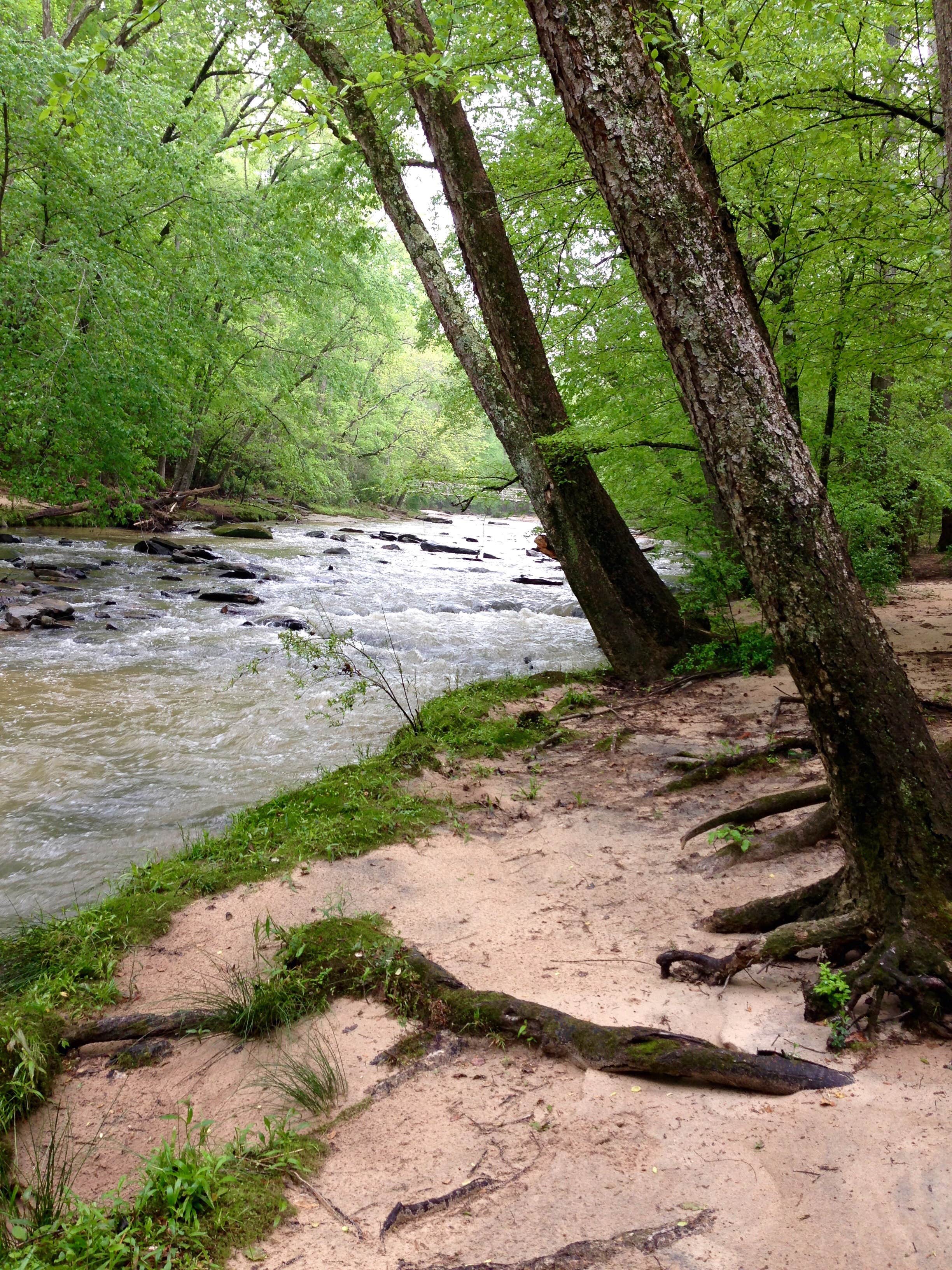 Camper submitted image from Croft State Park Campground - 2