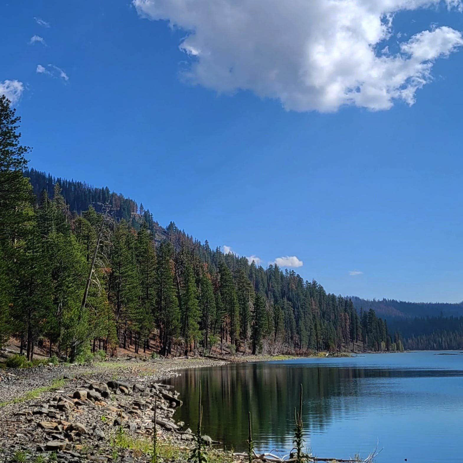 Camper-submitted photo at Butte Lake Campground — Lassen Volcanic National Park near Lassen National Forest