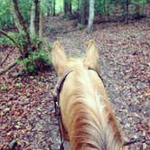 Review photo of Croft State Park Campground by Maddi P., September 8, 2018