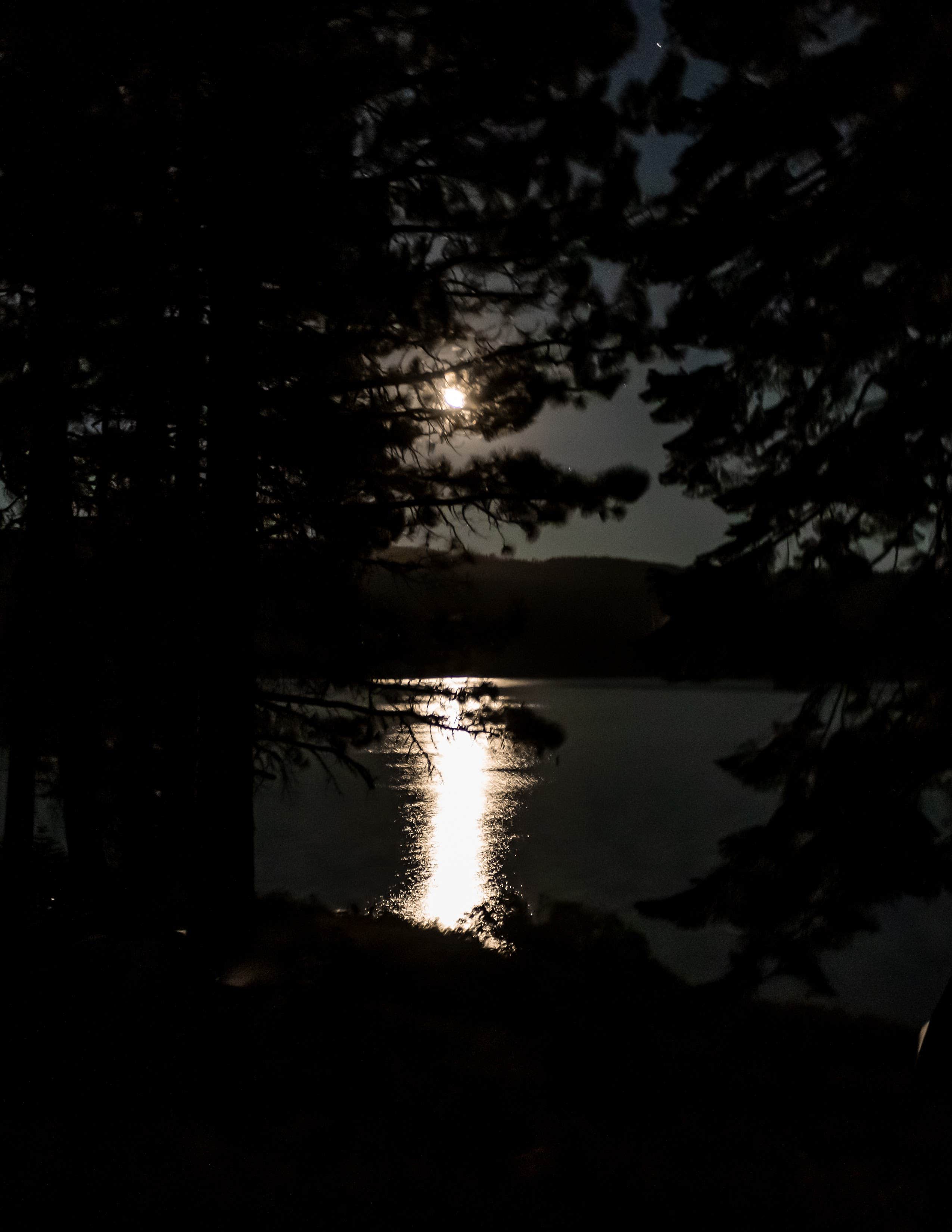 Camper-submitted photo at Sundew Campground near Meadow Valley, CA
