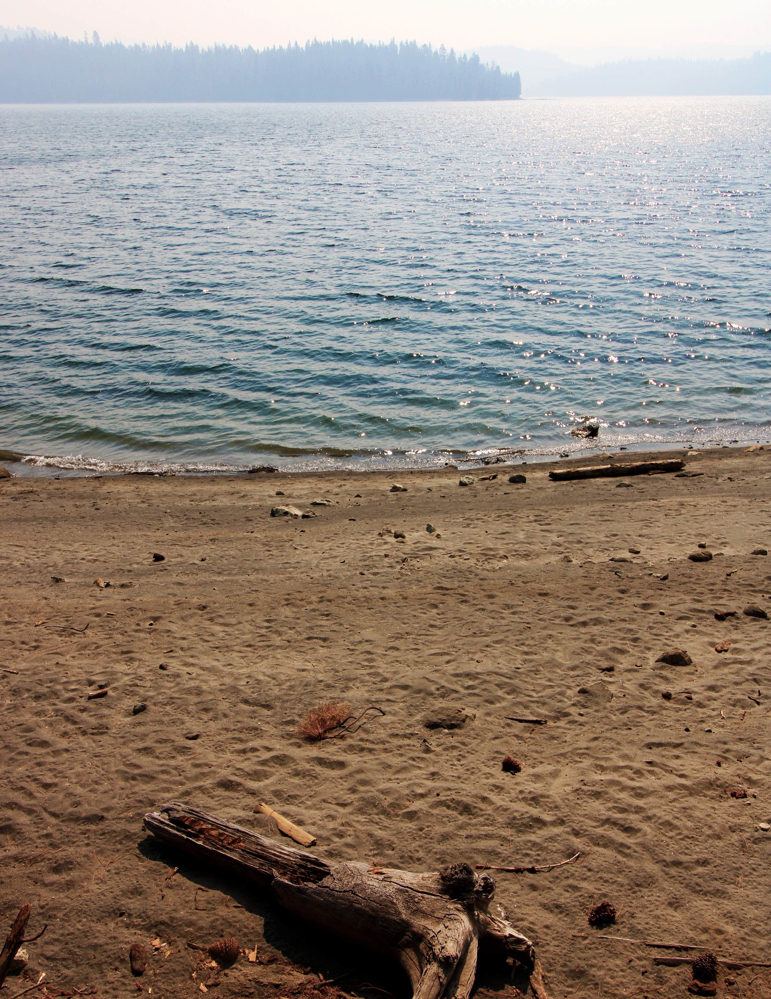 Camper-submitted photo at Sundew Campground near Meadow Valley, CA