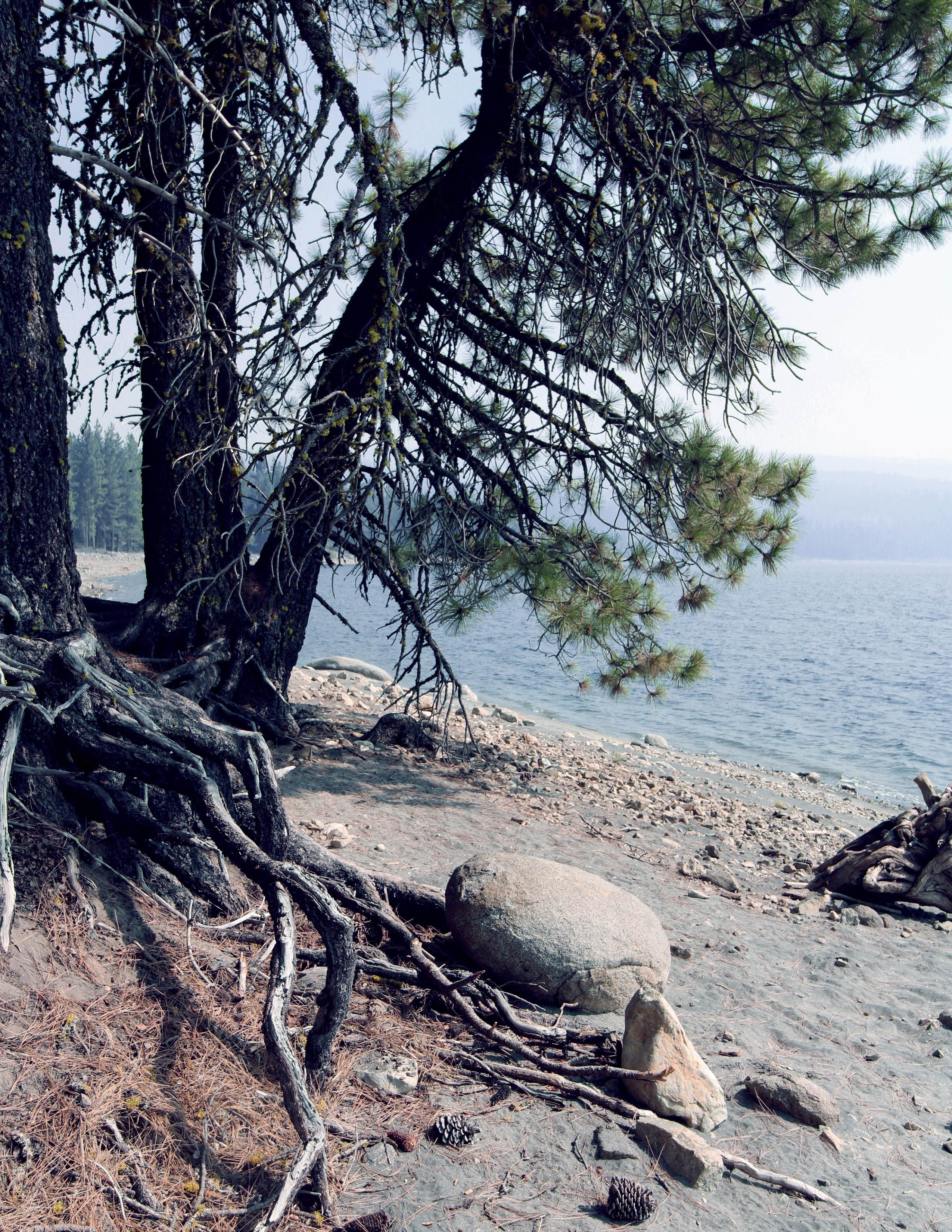 Camper-submitted photo at Sundew Campground near Meadow Valley, CA