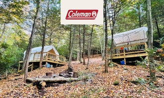 Camping near The Woods Camping Resort: Camp Dietrich - Bear Creek Falls Getaway, Jim Thorpe, Pennsylvania