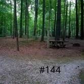Review photo of Mccormick's Creek State Park Campground by Mary S., September 8, 2018