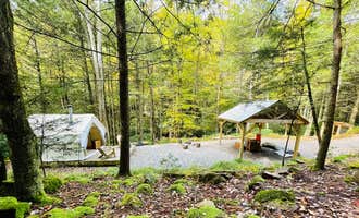 Camping near Camptel Poconos: Camp Dietrich - A Creek Runs Through It, Jim Thorpe, Pennsylvania