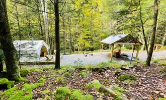 Camping near Mauch Chunk Lake Park: Camp Dietrich - A Creek Runs Through It, Jim Thorpe, Pennsylvania