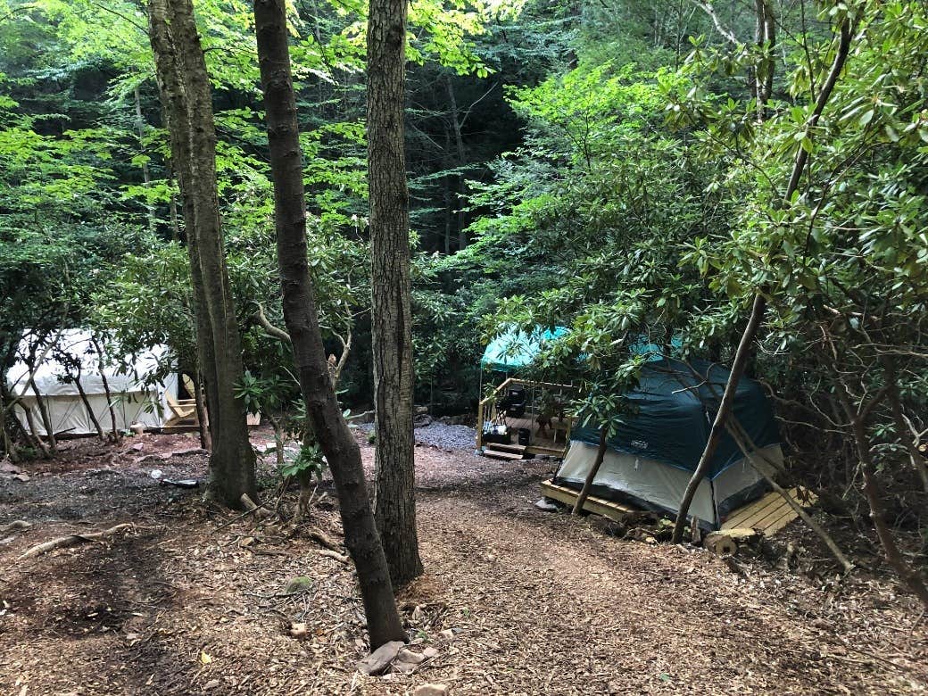 The Dyrt's photo at Camp Dietrich - Bear Creek Hideaway near Blakeslee, PA