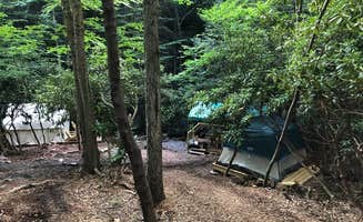 The Dyrt's photo at Camp Dietrich - Bear Creek Hideaway near Albrightsville, PA