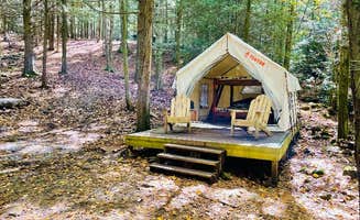 The Dyrt's photo at Camp Dietrich - Retreat on Bear Creek near Albrightsville, PA
