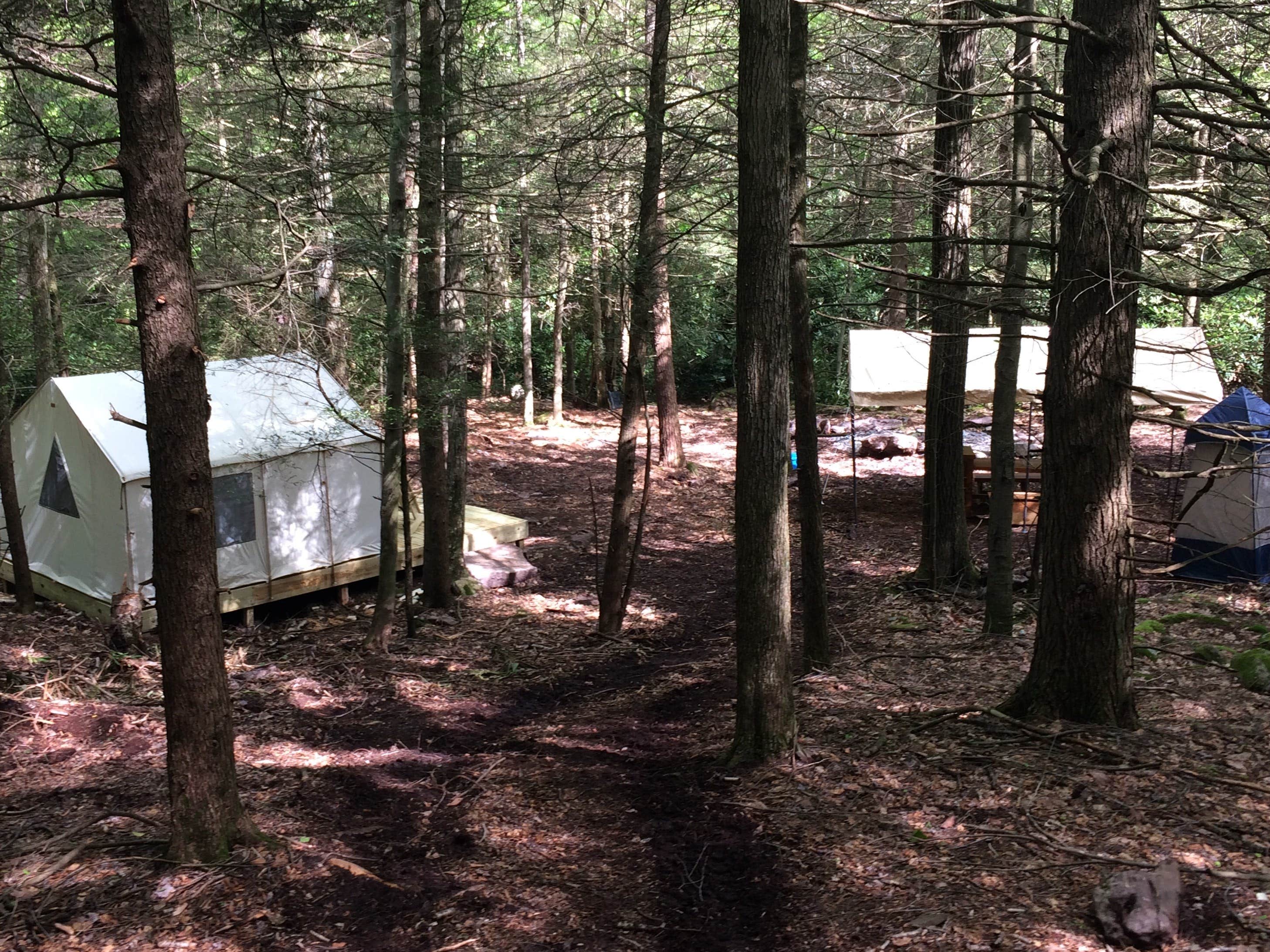 The Dyrt's photo of glamping accommodations at Camp Dietrich - Retreat on Bear Creek near Tobyhanna, PA