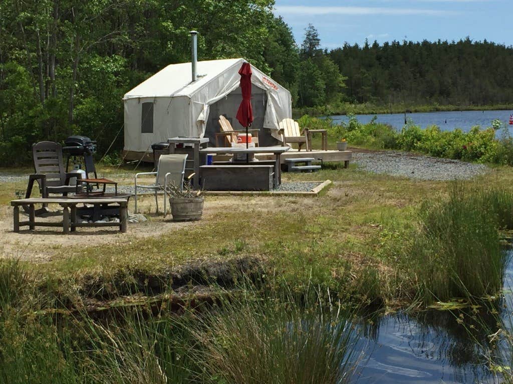 The Dyrt's photo at Tentrr Signature Site - Pinelands Getaway near Woodbury, NJ