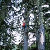 Review photo of Hoh Campground — Olympic National Park by Graham C., August 7, 2016