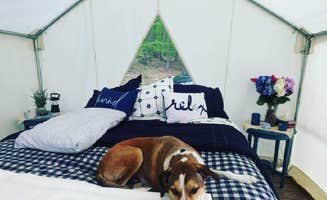 The Dyrt's photo of camping with pets at Tentrr Signature Site - Shady Knolls near Palenville, NY