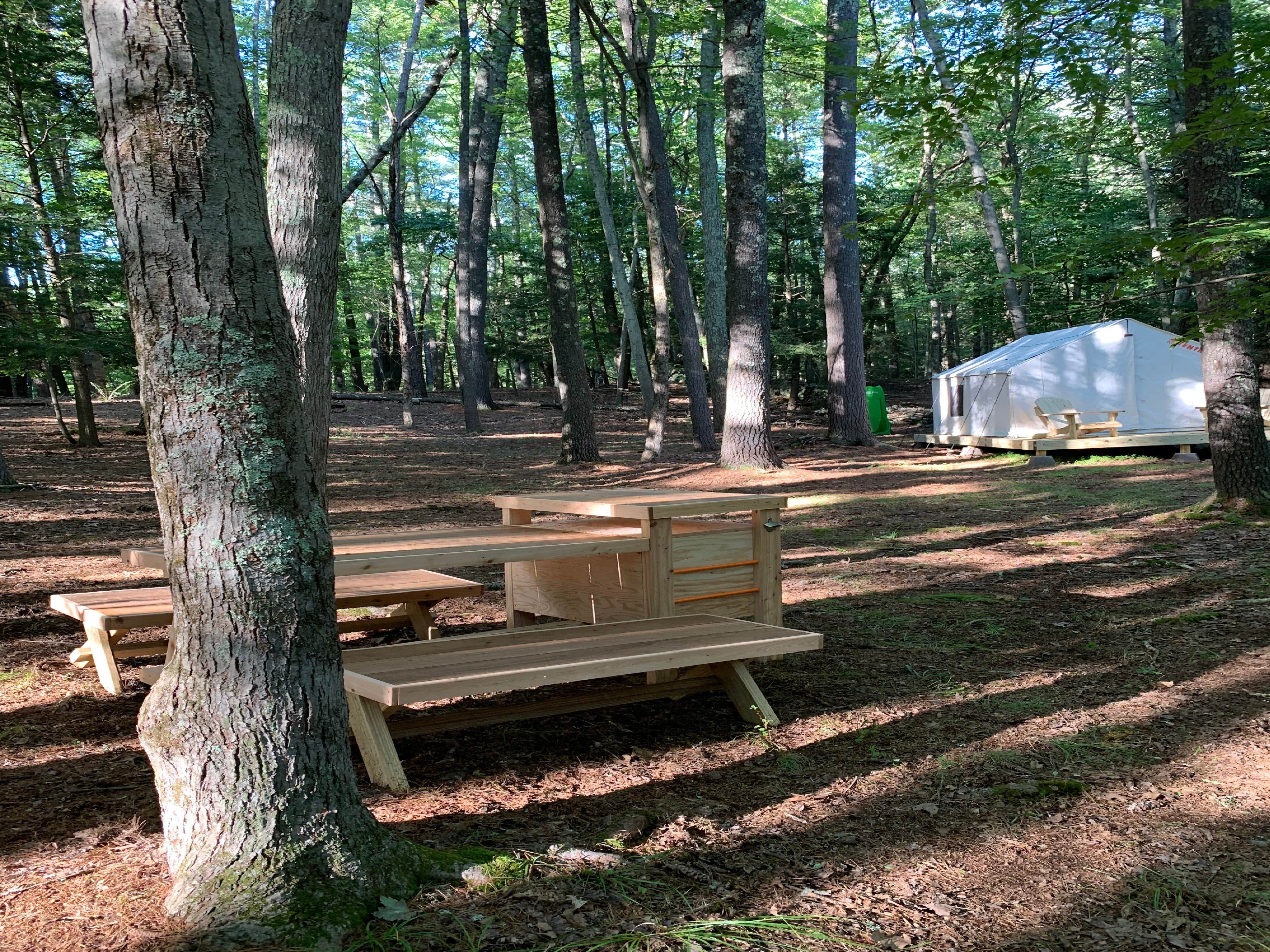 The Dyrt's photo at Tentrr Signature Site - Highwoods two near Woodstock, NY