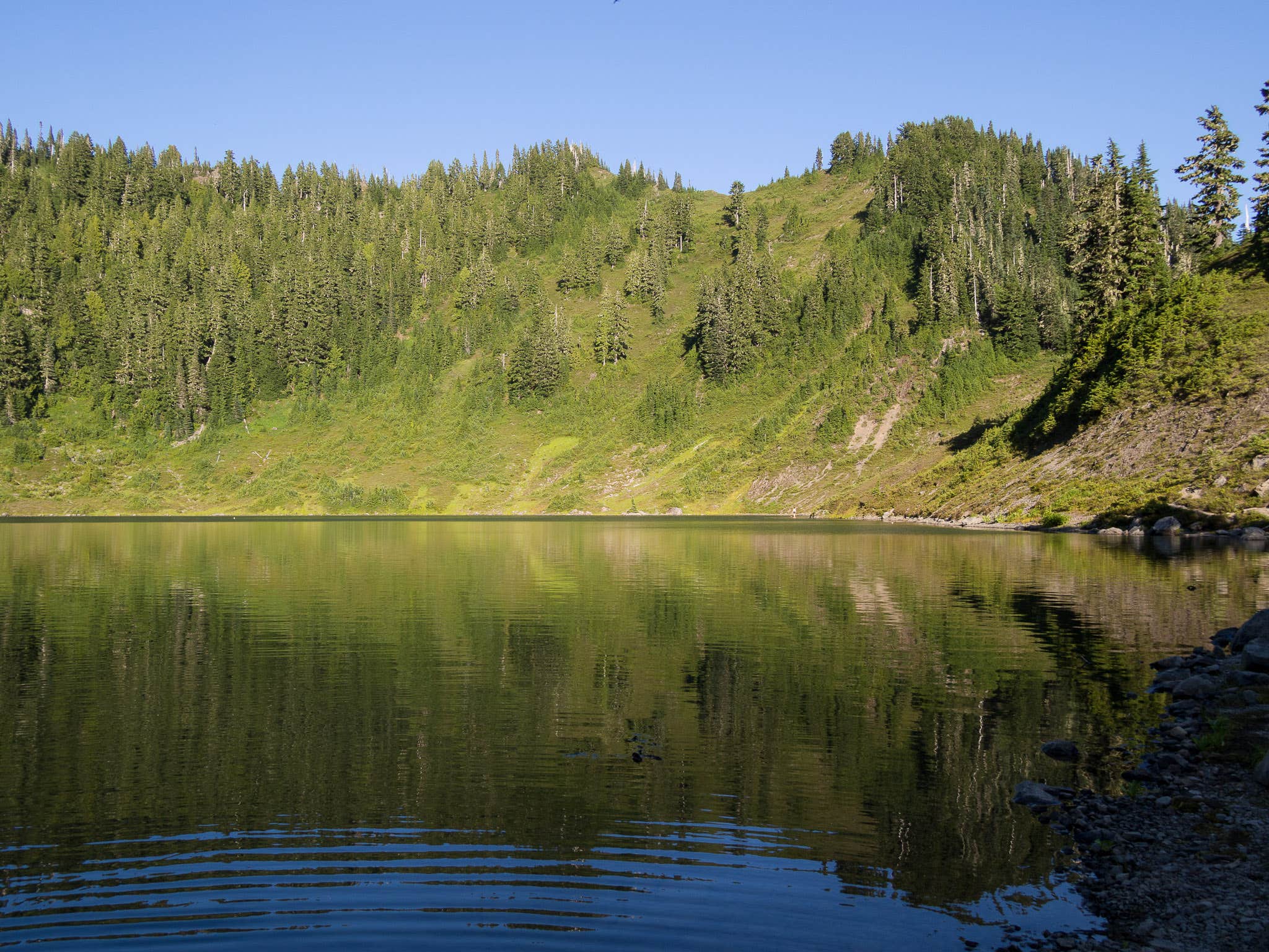Camper submitted image from Hoh Campground — Olympic National Park - 5
