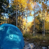 Review photo of Upper Lehman Creek Campground — Great Basin National Park by Grant , October 18, 2022