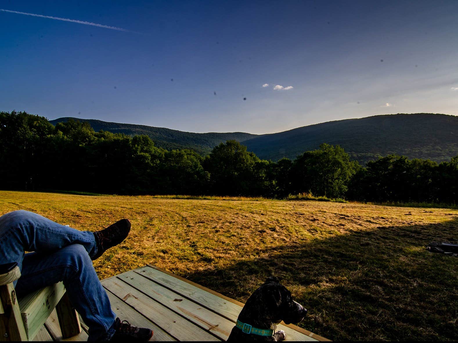 The Dyrt's photo of camping with pets at Tentrr Signature Site - Eagle Mountain Eyrie near Roxbury, NY