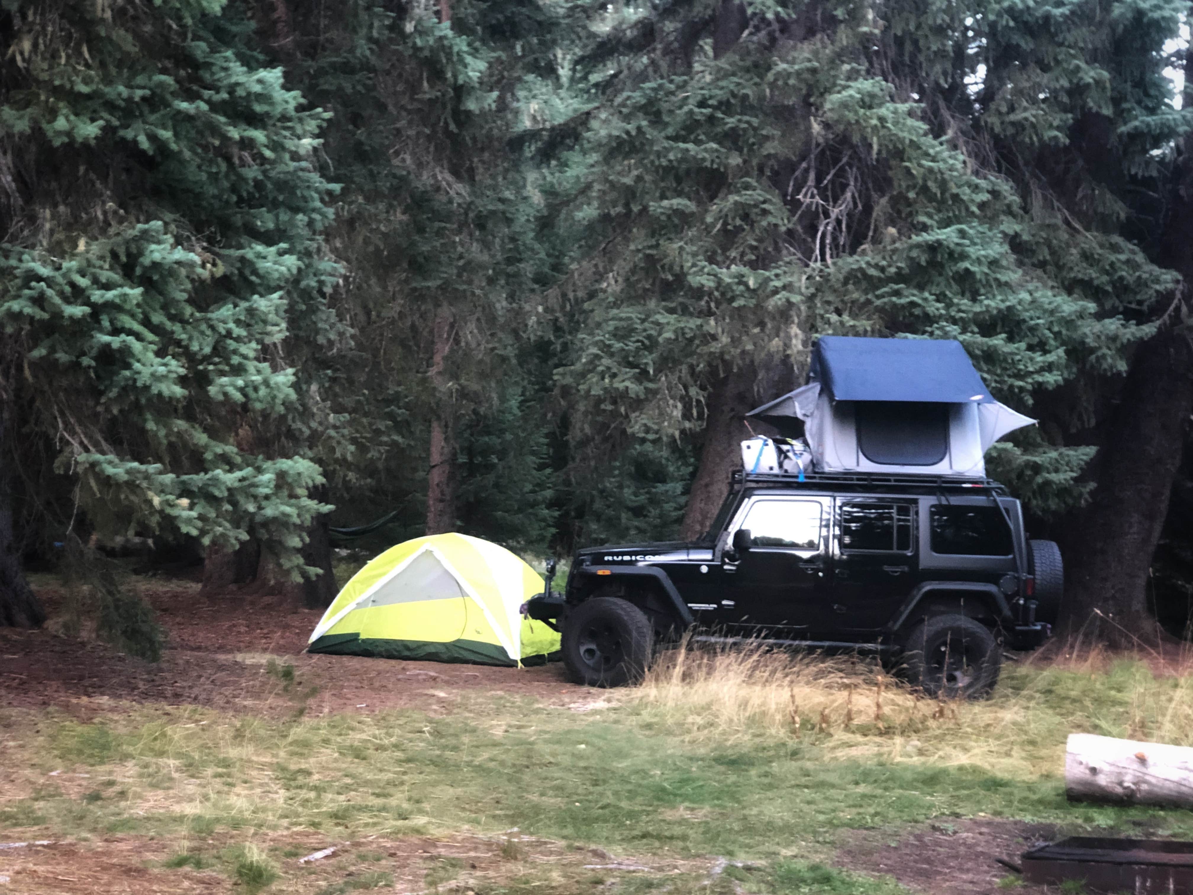 Dawnielle C.'s photo at Little Crater Lake near Mt. Hood National Forest