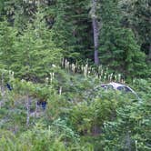 Review photo of Hoh Campground — Olympic National Park by Graham C., August 7, 2016