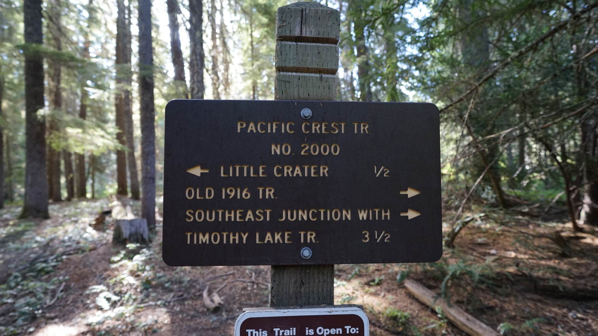 Camper submitted image from Little Crater Lake - 5