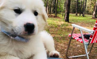 The Dyrt's photo of camping with pets at Tentrr Signature Site - Exodus XX: Lakefront Private Campsite at Shabbat Retreat near Coldspring, TX