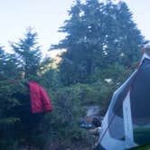 Review photo of Hoh Campground — Olympic National Park by Graham C., August 7, 2016