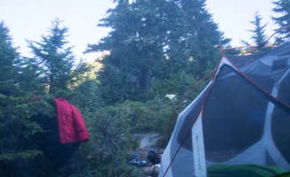 Graham C.'s photo at Hoh Campground — Olympic National Park near Olympic National Park