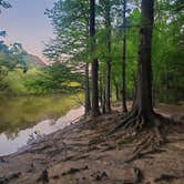 Review photo of Cliffs of the Neuse State Park Campground by Stacey G., October 19, 2022