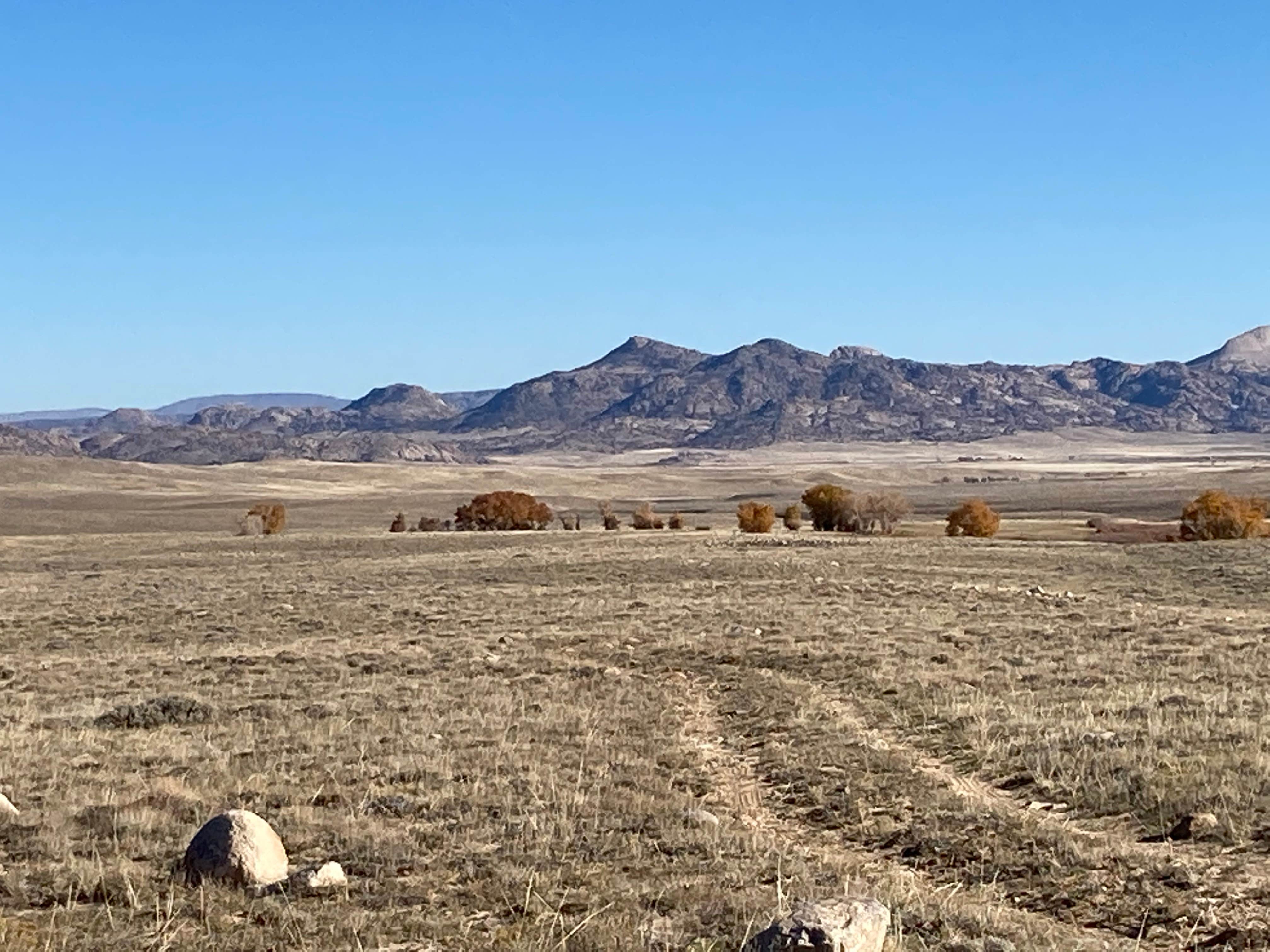 Camper submitted image from Cottonwood Campground Wyoming - 4