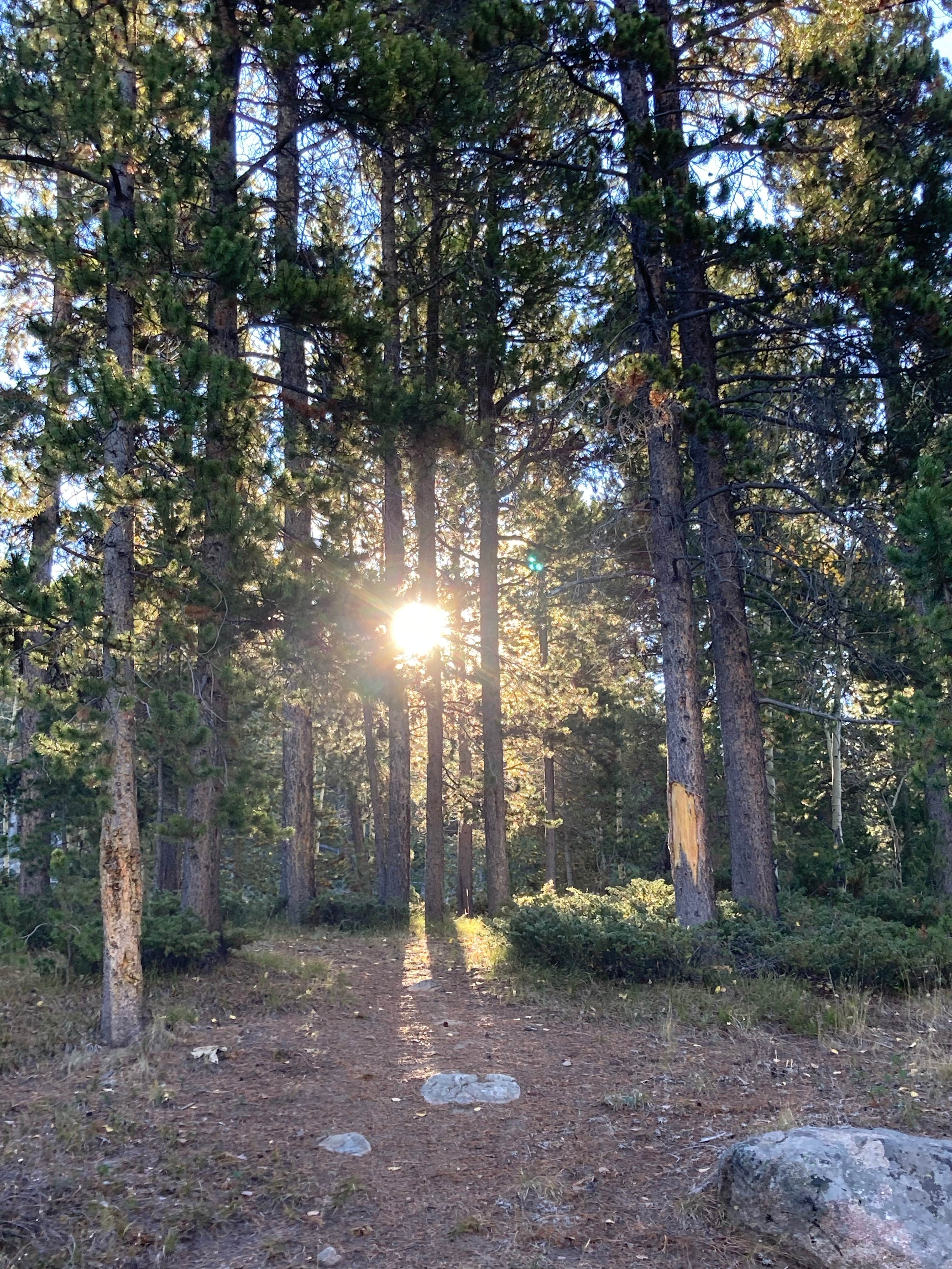 Camper-submitted photo at Cottonwood Campground Wyoming near Jeffrey City, WY