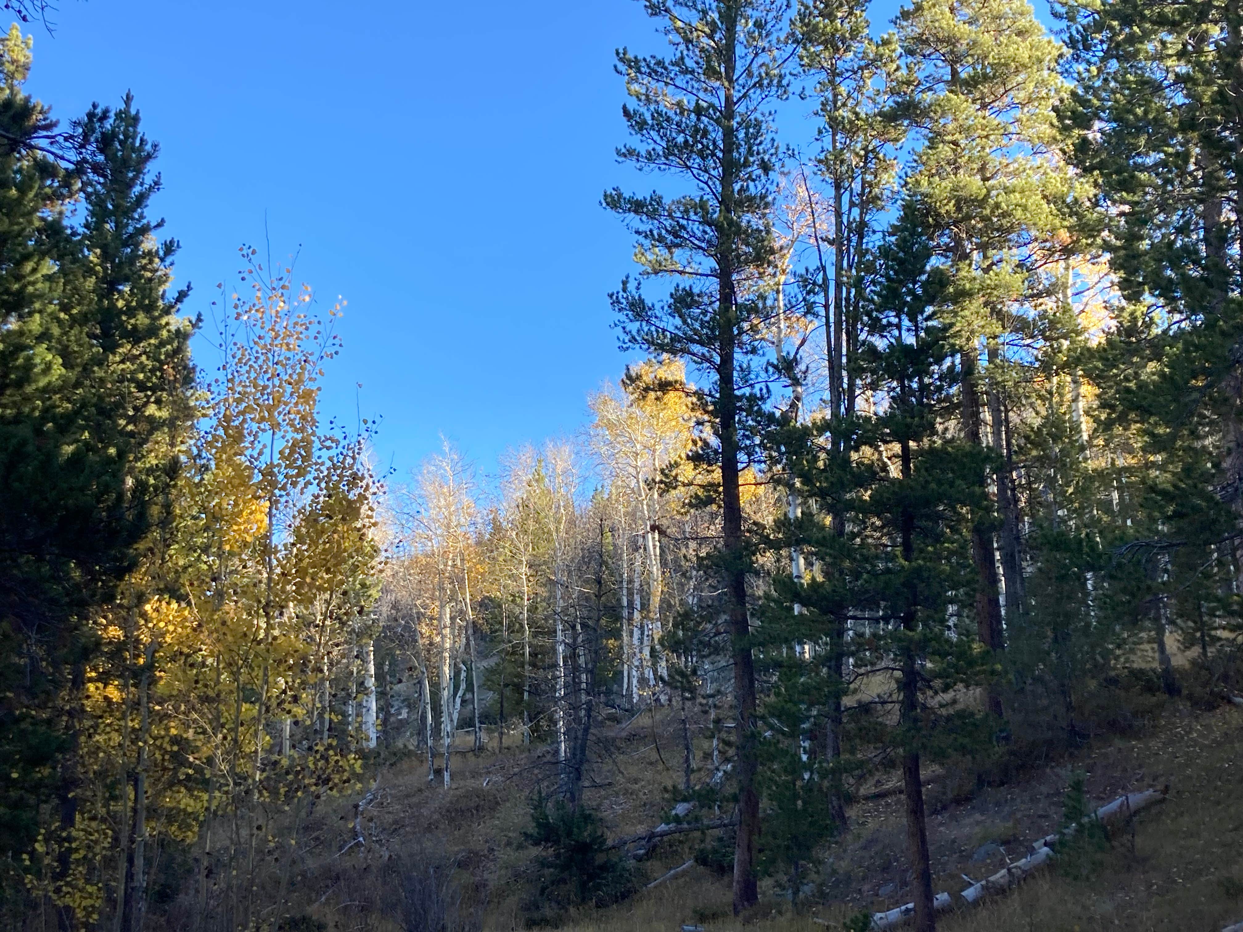 Camper-submitted photo at Cottonwood Campground Wyoming near Jeffrey City, WY