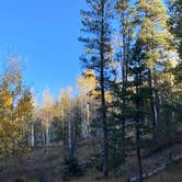 Review photo of Cottonwood Campground Wyoming by Andy D., October 19, 2022