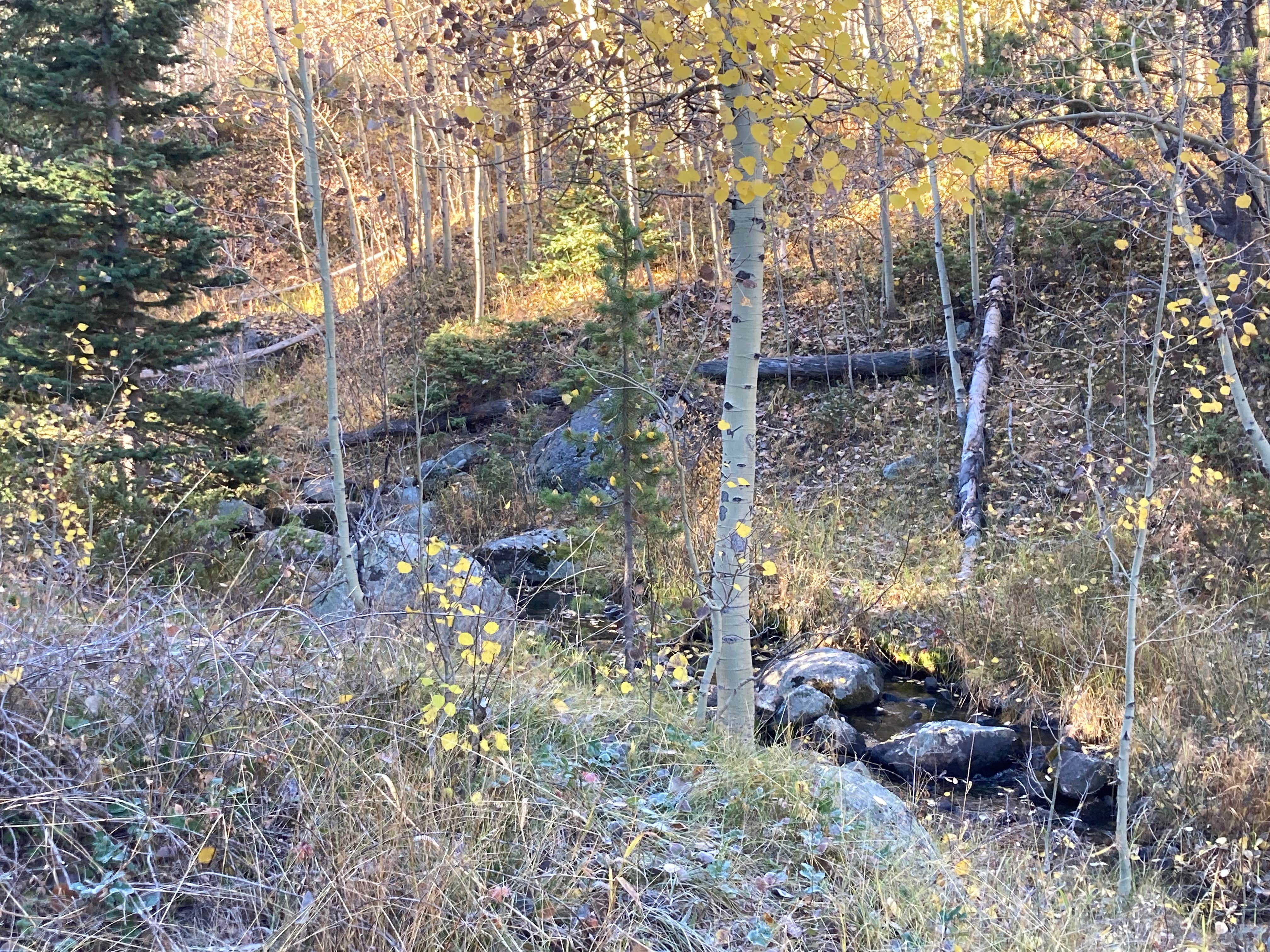 Camper-submitted photo at Cottonwood Campground Wyoming near Jeffrey City, WY