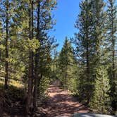 Review photo of Rampart Range Area Dispersed Campsite by Cameron B., October 19, 2022