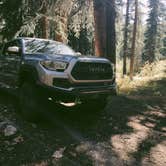 Review photo of Rampart Range Area Dispersed Campsite by Cameron B., October 19, 2022