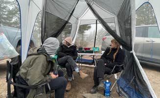 Cameron B.'s photo at Forest Road 332 Dispersed near Louisville, CO