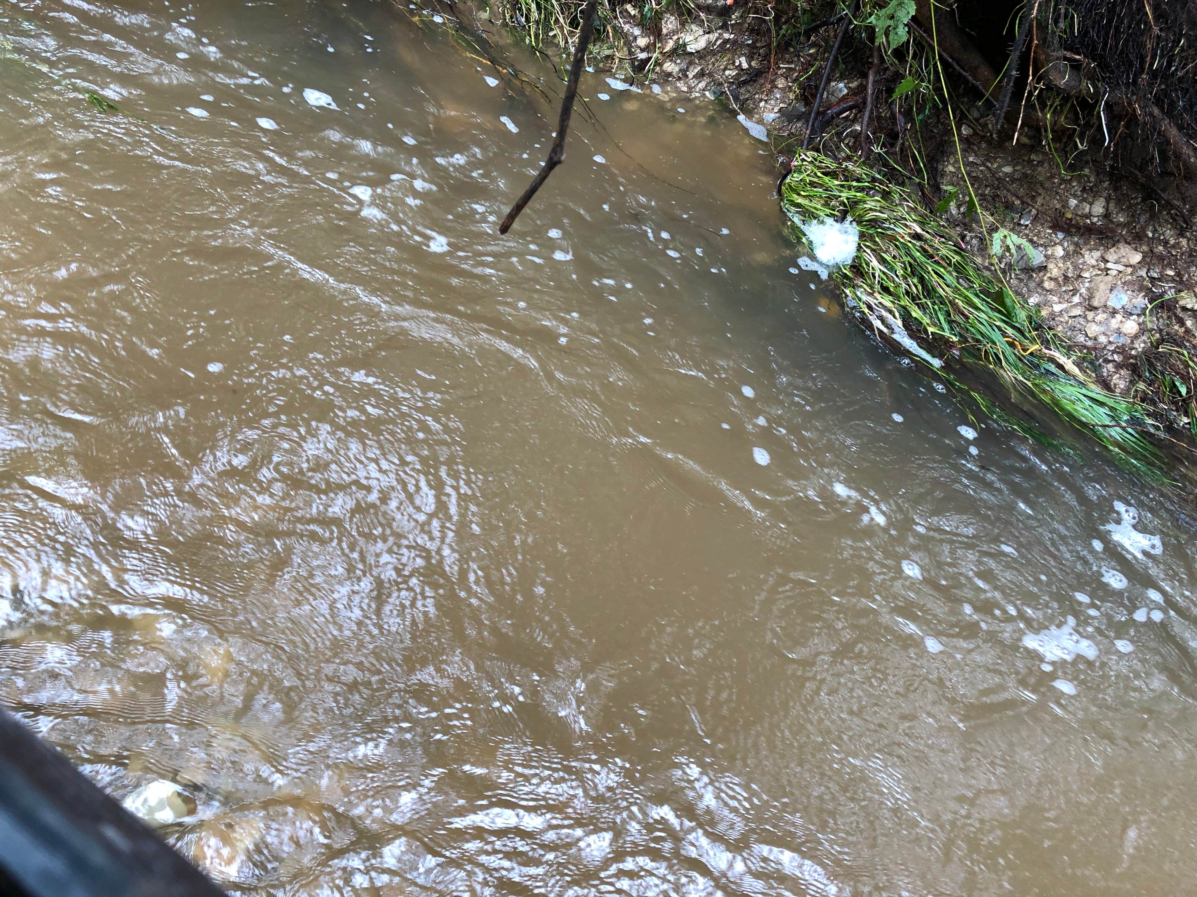 Camper-submitted photo at River Pond Campground — Tuttle Creek State Park near Fort Riley, KS