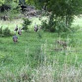 Review photo of Liberty Cove Rec Area by Shaeli E., August 26, 2018