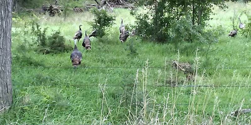 Camper submitted image from Liberty Cove Rec Area