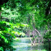 Review photo of Cedar Point Campground — Lovewell State Park by Shaeli E., August 26, 2018