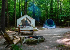 Tentrr State Park Site - Maine Bradbury State Park - Site 1 - Single Camp