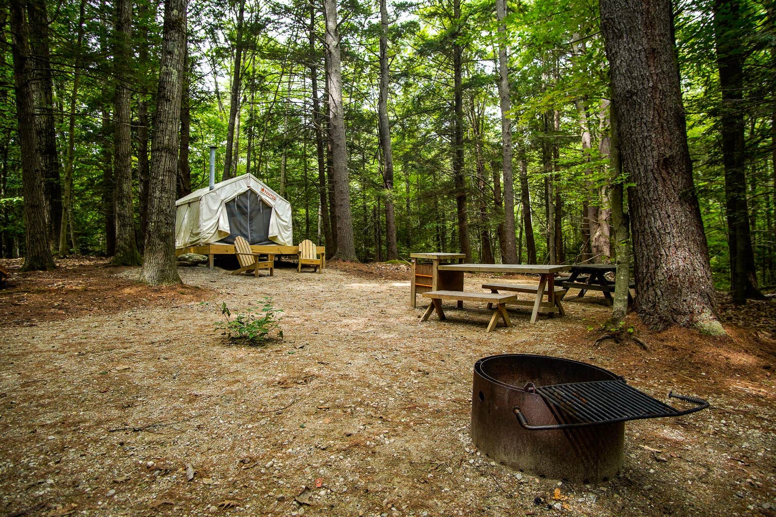 The Dyrt's photo at Tentrr State Park Site - Maine Bradbury State Park - Site 2 - Single Camp near Pownal, ME