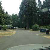 Review photo of Armitage Park & Campground - a Lane County Park by Bjorn S., July 14, 2015