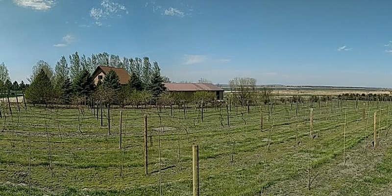 Camper submitted image from Cattail Bay