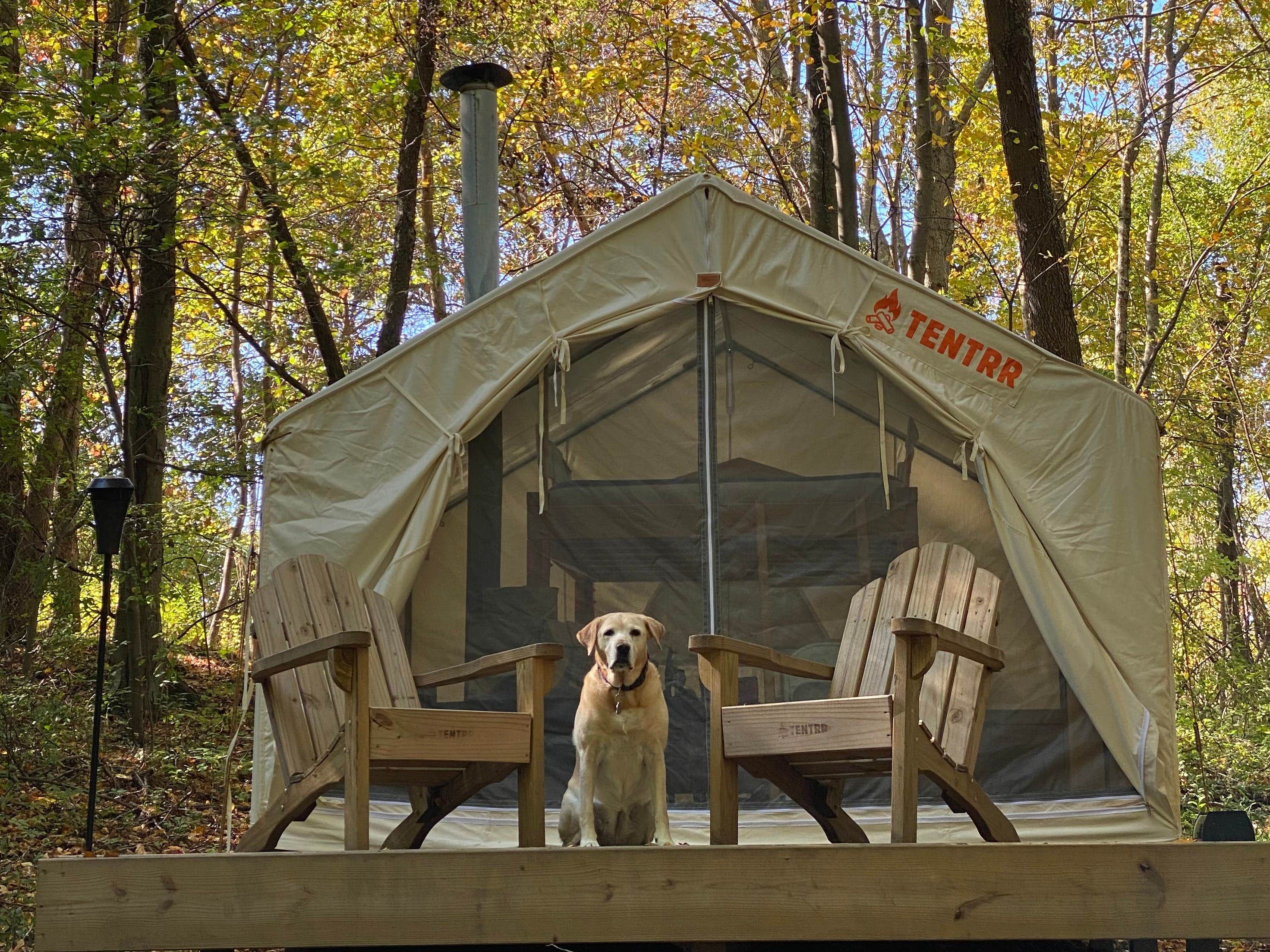 The Dyrt's photo of camping with pets at Tentrr Signature Site - Holmestead Woods near Greenwich, CT