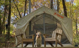 The Dyrt's photo of camping with pets at Tentrr Signature Site - Holmestead Woods near Verbank, NY