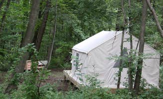 The Dyrt's photo at Tentrr Signature Site - Holmestead Woods near Yorktown Heights, NY