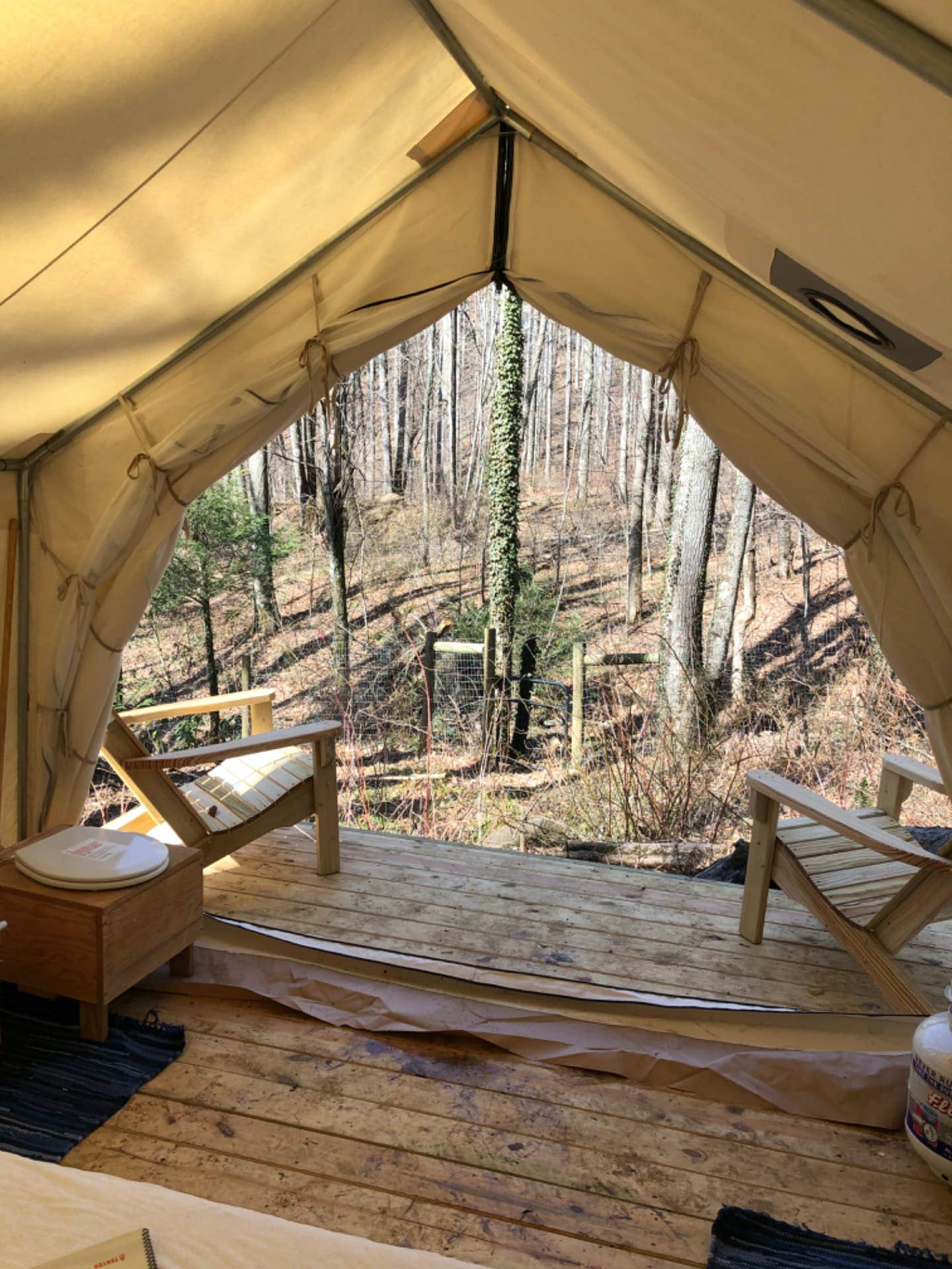 The Dyrt's photo at Tentrr Signature Site - Summer Haven Campsite #1 near Gerton, NC