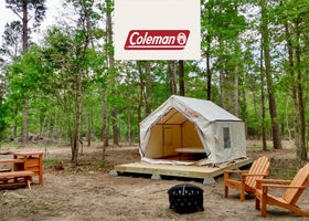 Tentrr Signature Site - Hidden Forest - Coleman Outfitted Site