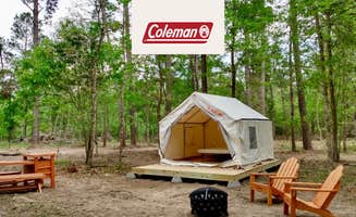 The Dyrt's photo at Tentrr Signature Site - Hidden Forest - Coleman Outfitted Site near New Waverly, TX